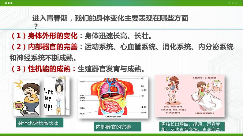 北师大版心理健康七年级 3 揭开青春的奥秘 课件PPT+教案+音视频06