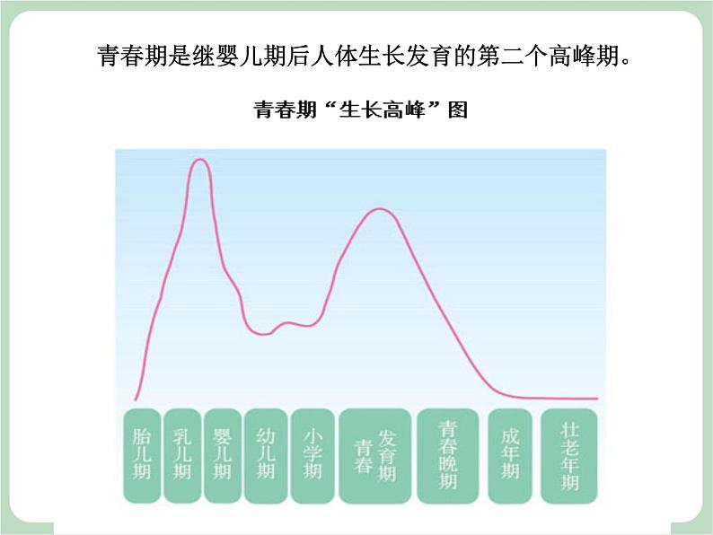 北师大七年级全册心理健康4 青春的模样课件07
