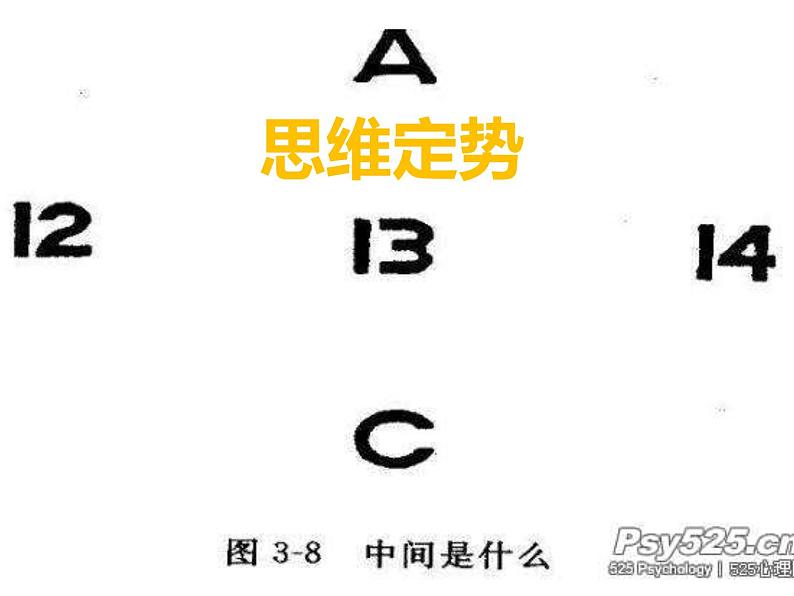 北师大八年级全册心理健康10 走进心理学的世界课件06