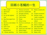 北师大八年级全册心理健康11 “自命”不凡追逐青春的梦想课件