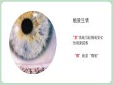 北师大九年级全册心理健康8 快乐由我课件