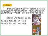 北师大九年级全册心理健康17 我有我追求课件