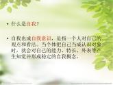 北师大版八年级心理健康 1寻找真实的自己 课件