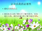北师大版八年级心理健康 1寻找真实的自己 课件
