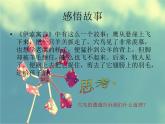 北师大版八年级心理健康 1寻找真实的自己 课件