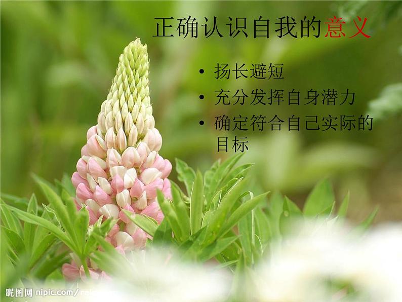 北师大版八年级心理健康 1寻找真实的自己 课件第7页