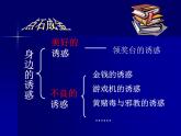 北师大版八年级心理健康 19拒绝不良诱惑 课件