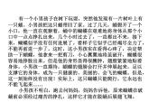 北师大版八年级心理健康 12追逐青春梦想  课件