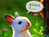 北师大版八年级心理健康 12追逐青春梦想  课件