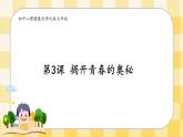 第3课 揭开青春的奥妙 课件+教案-北师大版心理健康七年级