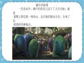 北师大八年级全册心理健康11 “自命”不凡追逐青春的梦想课件+教案