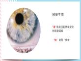 北师大九年级全册心理健康8 快乐由我课件+教案