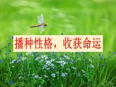 12  播种性格，收获命运课件PPT