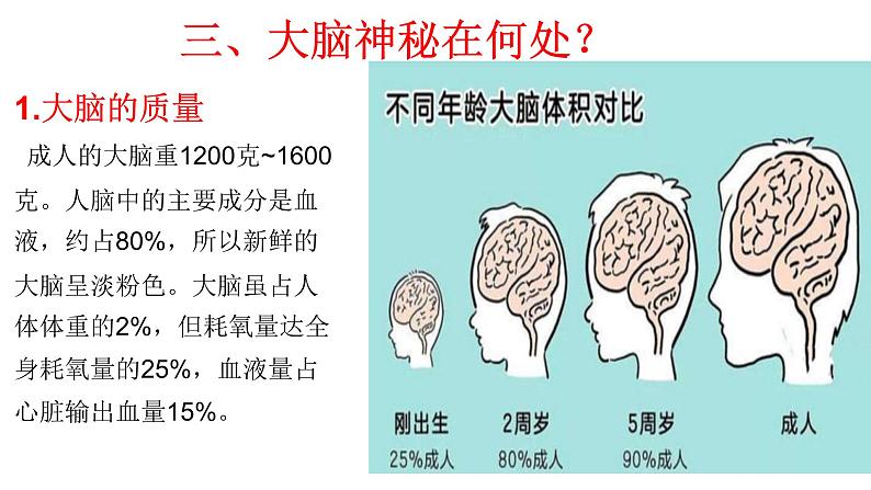 神秘的大脑课件PPT07