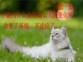 1.1.适应新的环境课件PPT