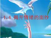 1.4揭开情绪的面纱课件PPT