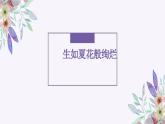 感悟生命 描绘生命 课件