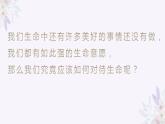感悟生命 描绘生命 课件