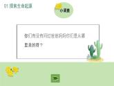 生命教育 课件-感受生命能量