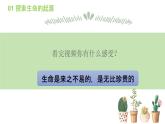 生命教育 课件-感受生命能量