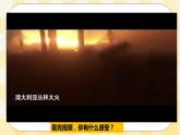 北師大版心理健康八年級第十七課 堅韌的心 課件