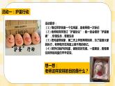 北师大版心理健康八年级第十八课 感悟生命 课件