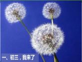 北師大版九年級(jí)心理健康第一課《初三，我來了》教學(xué)課件PPT