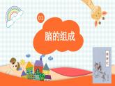 第七课 我的最强大脑——认识大脑课件