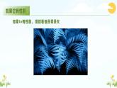 第七課+尋找未知的自己《性別刻板印象-不被定義的你-女神節(jié)專題》課件
