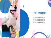 第八課+綻放自信的花朵悅納自我，自得其樂課件