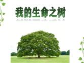 第十八课 感悟生命_我的生命之树_课件