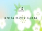第十八课 感悟生命《感悟生命真谛，绚烂生命光彩》课件
