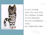 第十八课 感悟生命《活了一百万次的猫》课件