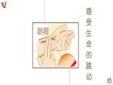 第十八课 感悟生命《活了一百万零一次的猫》课件