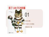 第十八课 感悟生命《活了一百万零一次的猫》课件