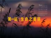 第十八课 感悟生命《生命变奏曲》课件