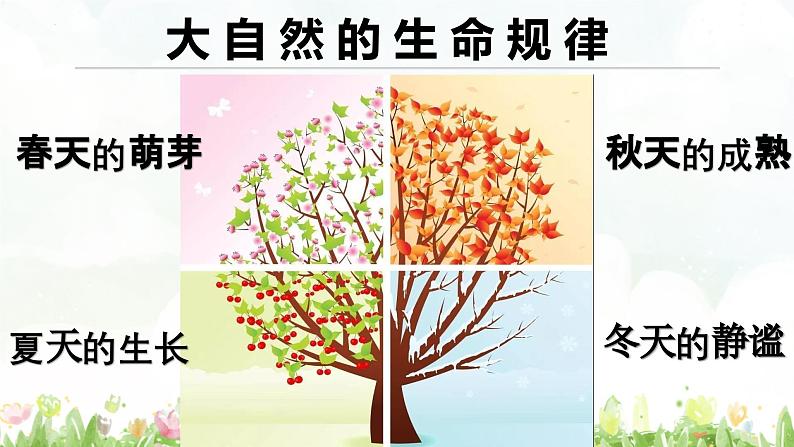 第十八课 感悟生命《生命变奏曲》课件第7页