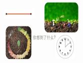 第十八课 感悟生命《生命银行》课件