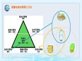 第十課 異性交往有尺度《在秋天遇見愛情》課件