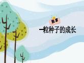 第十八课 感悟生命——种下一棵生命树 课件 2023—2024学年北师大版（2015）初中心理健康八年级全一册