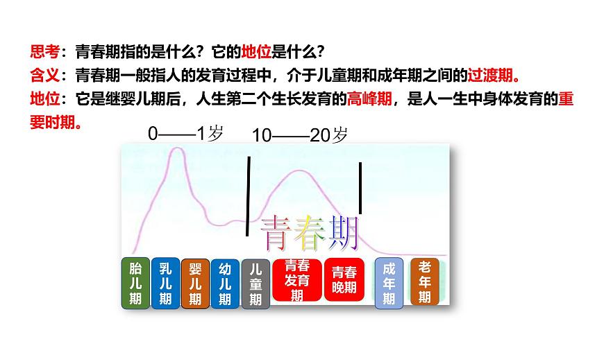 北师大版心理健康七上第3课 揭开青春的奥秘 课件第4页