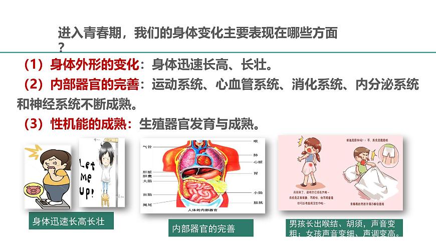 北师大版心理健康七上第3课 揭开青春的奥秘 课件第6页