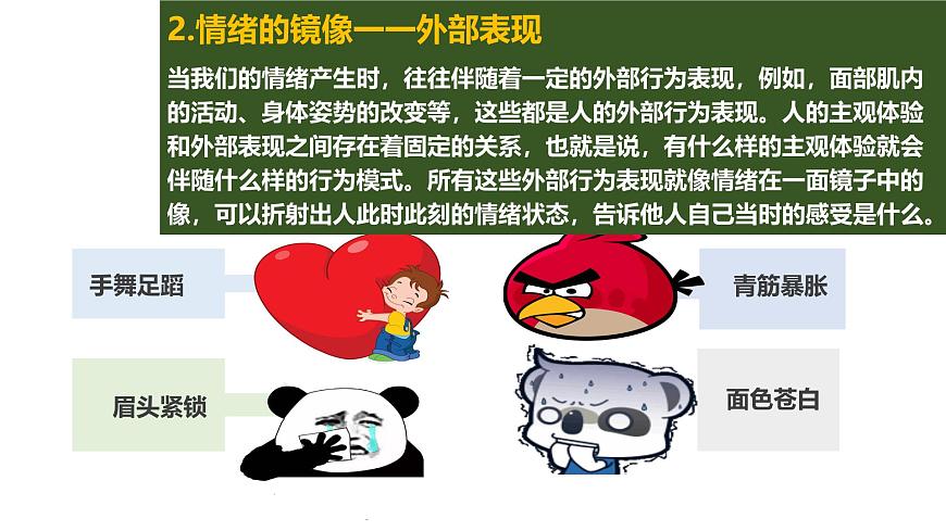 北师大版心理健康七上第13课 揭开情绪的面纱 课件第8页