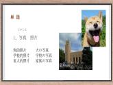 第5課家族の写真単語课件人教版初中日语七年级