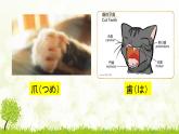 7年級第16課ネズミの相談 課件人教版日語七年級