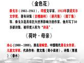 七上第二單元復(fù)習(xí)  課件 2024-2025學(xué)年統(tǒng)編版（2024）語文七年級上冊