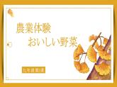 第2課 農(nóng)業(yè)體験 おいしい野菜 單詞 語法課件 2024-2025學(xué)年初中日語人教版九年級第三冊