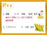 第2課 農(nóng)業(yè)體験 おいしい野菜 單詞 語法課件 2024-2025學(xué)年初中日語人教版九年級第三冊