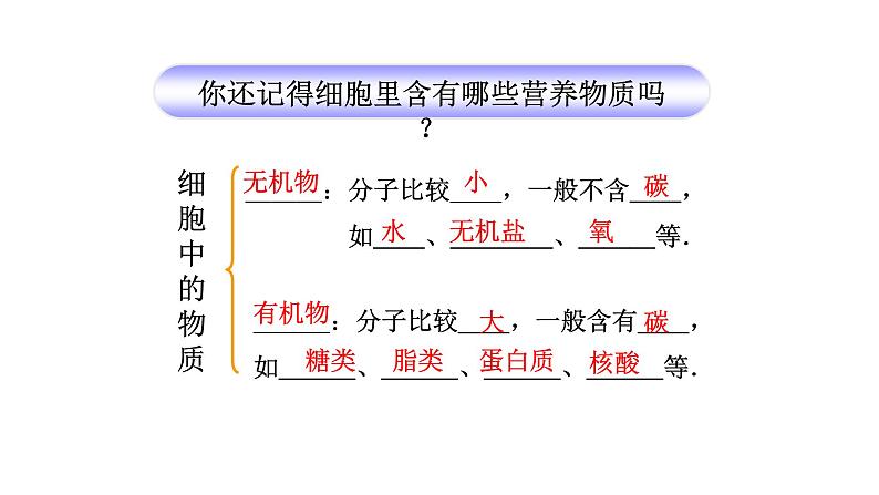 人教版生物七年级下册4.2.1食物中的营养物质 课件05