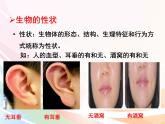 济南版生物八年级上册 4.4.2 性状的遗传 课件